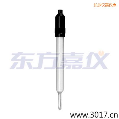 長沙玻璃外殼無溫補兩線電導(dǎo)率電極