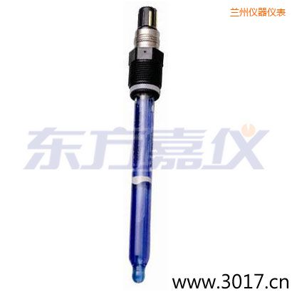 蘭州測(cè)純水,超純水 PH電極