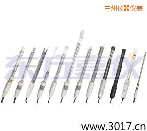 蘭州pH電極