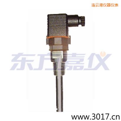 連云港含有溫度的兩線電導(dǎo)率電極