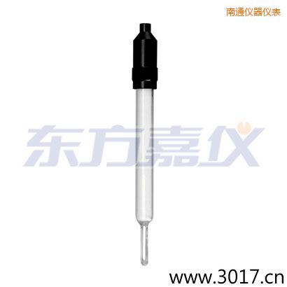 南通玻璃外殼無溫補(bǔ)兩線電導(dǎo)率電極