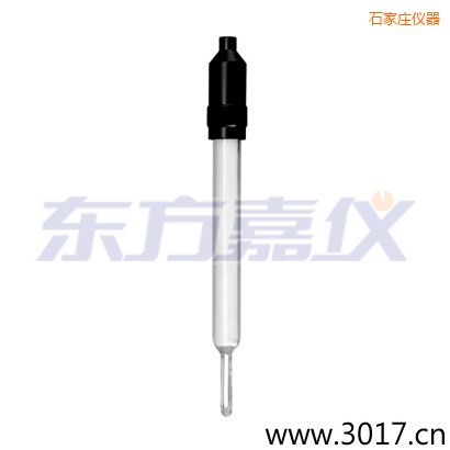 石家莊玻璃外殼無(wú)溫補(bǔ)兩線電導(dǎo)率電極