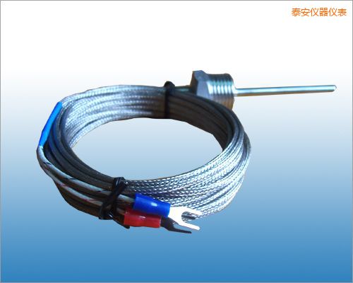 泰安固定熱電偶