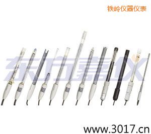 鐵嶺離子選擇性電極