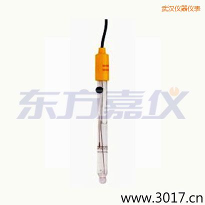 武漢可填充玻璃管電極