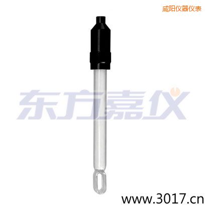 咸陽玻璃外殼無溫補兩線電導率電極