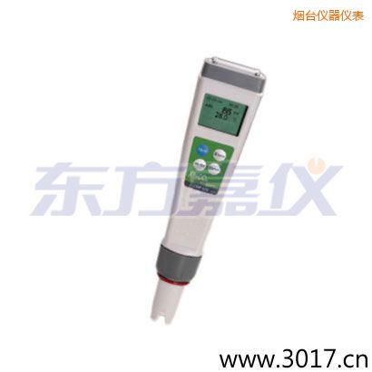 煙臺(tái)迷你型筆式氧化還原測(cè)試儀