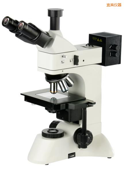 ���e͸��������@΢�R