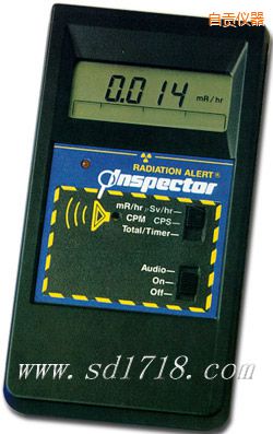 ��ؕ����INSPECTOR��yʽ�侀�z�y(c��)�x